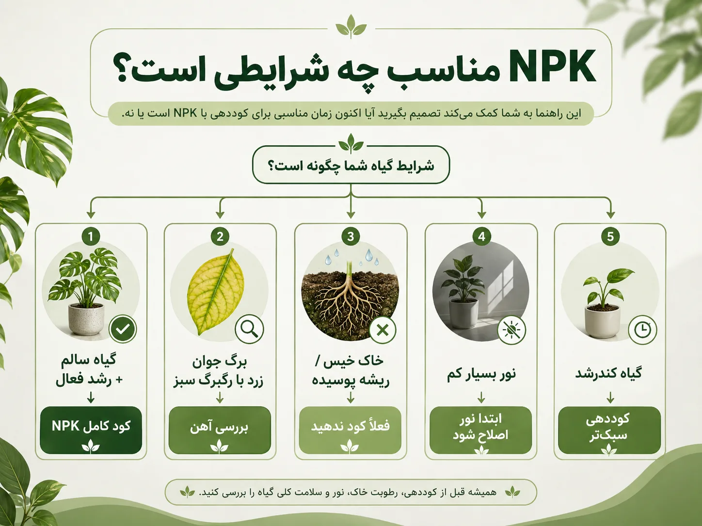 NPK مناسب چه شرایطی است راهنمای انتخاب کود NPK بر اساس شرایط گیاه