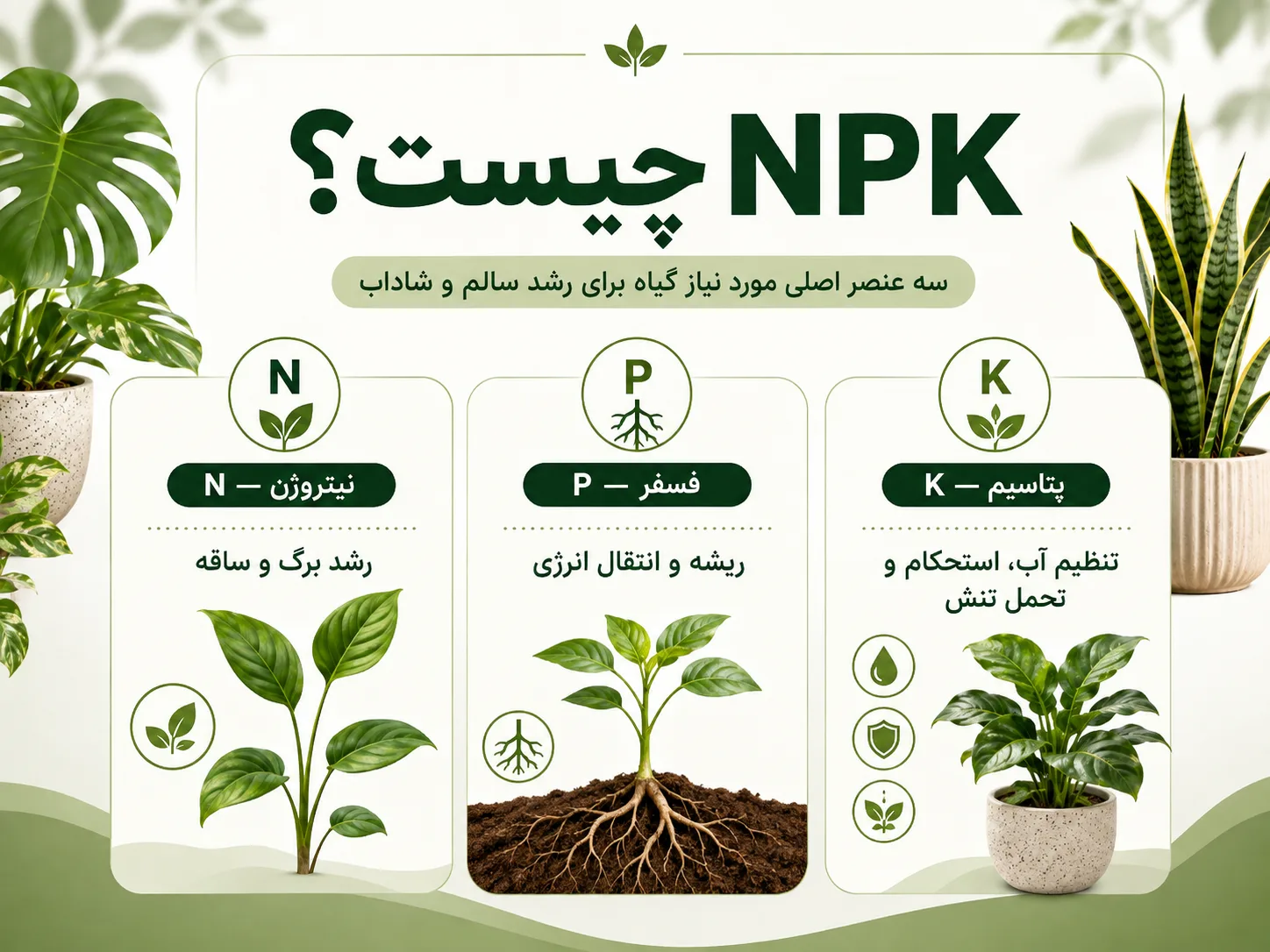 NPK چیست؟ NPK چیست و نقش نیتروژن فسفر و پتاسیم در گیاهان