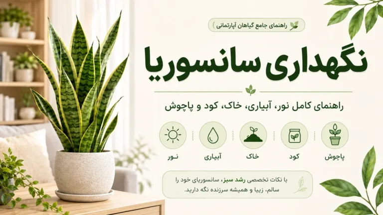 نگهداری سانسوریا؛ راهنمای کامل نور، آبیاری، خاک، کود، پاجوش و تکثیر