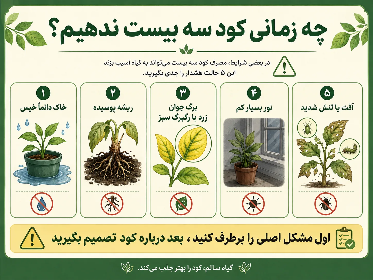 چه زمانی کود سه بیست ندهیم؟ چه زمانی کود سه بیست ندهیم خاک خیس ریشه پوسیده نور کم و آفت