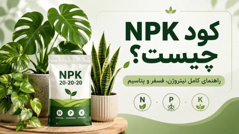 کود NPK چیست و معنی نیتروژن فسفر و پتاسیم در کود