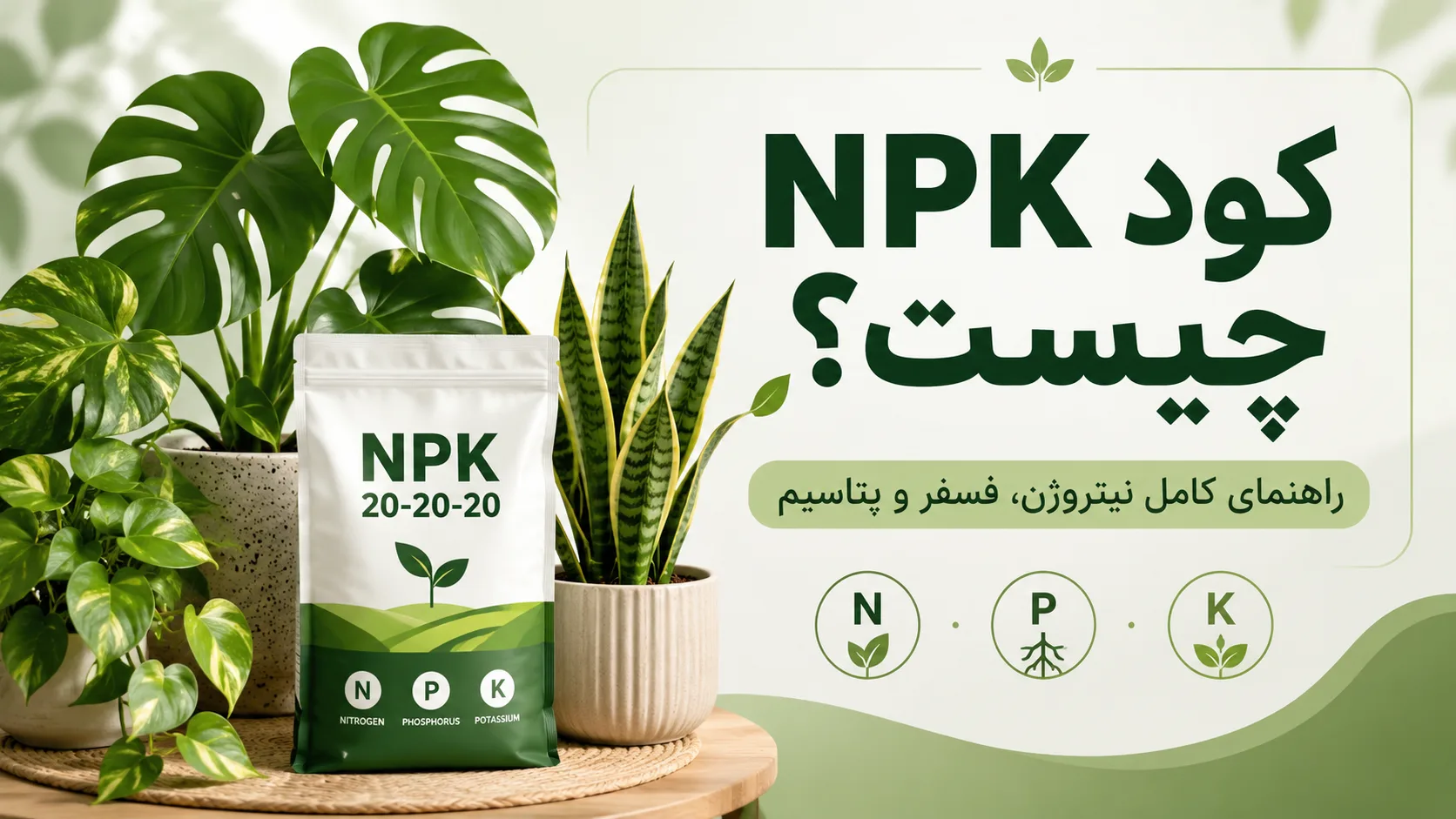 کود NPK چیست؟ معنی اعداد روی کود + کاربرد نیتروژن، فسفر و پتاسیم