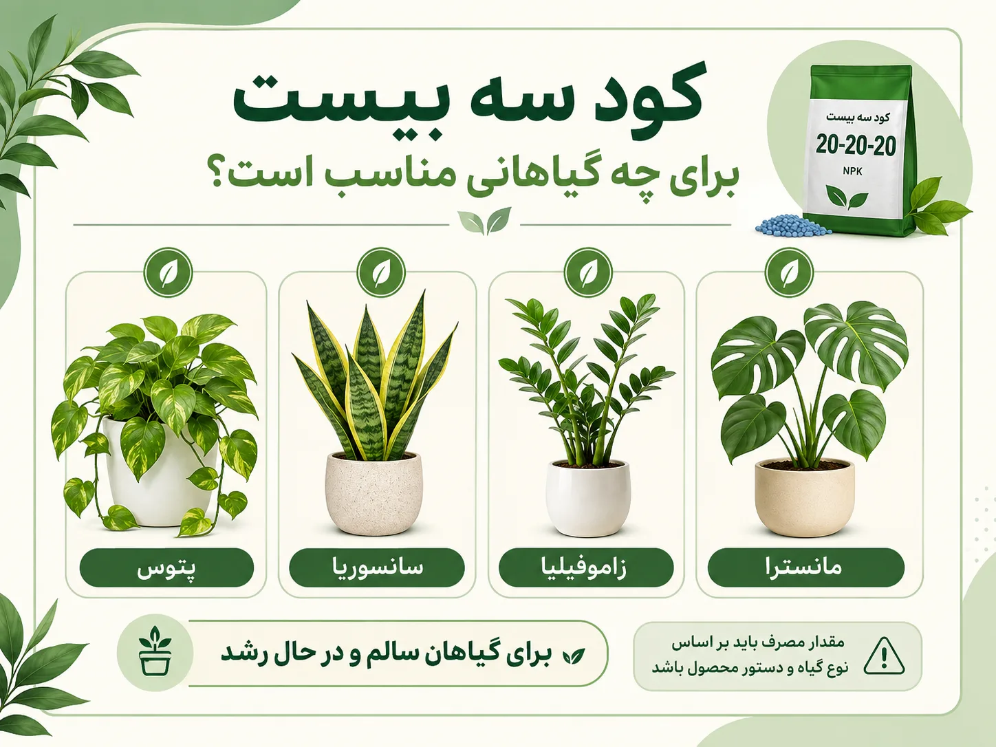 کود سه بیست برای چه گیاهانی مناسب است؟ کود سه بیست برای چه گیاهانی مناسب است پتوس سانسوریا زاموفیلیا و مانسترا
