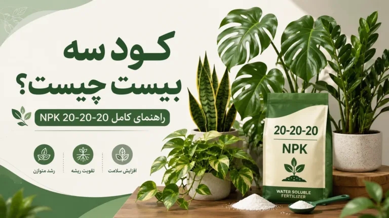 کود سه بیست چیست و روش مصرف NPK 20-20-20 برای گیاهان