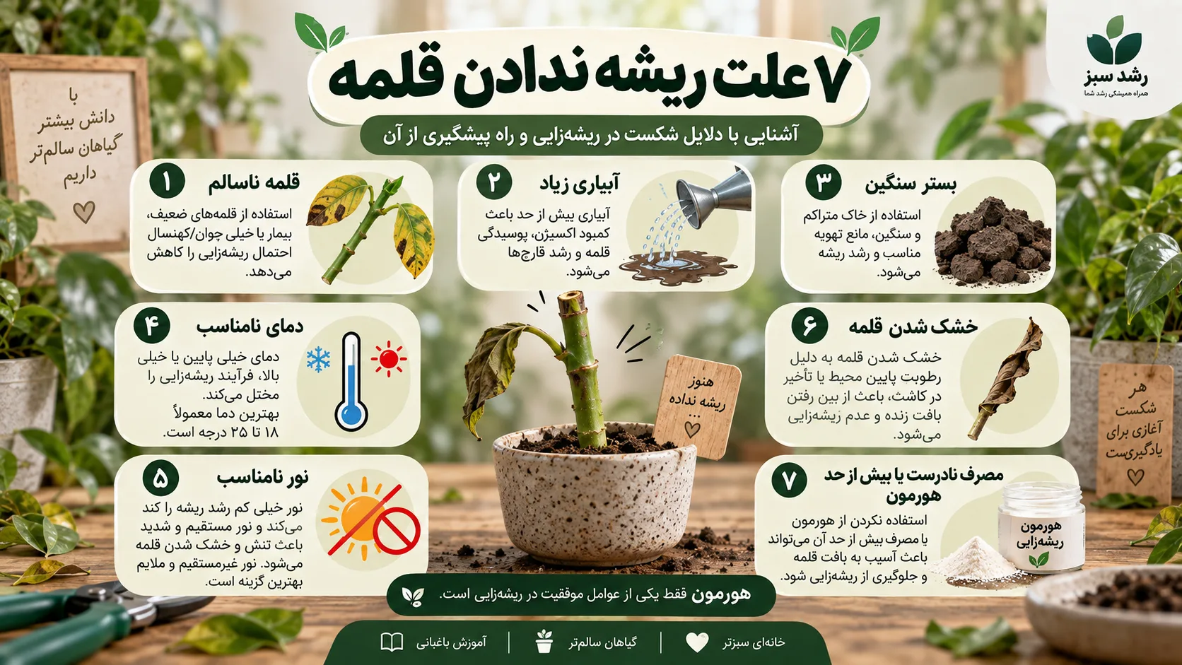 ۷ علت ریشه ندادن قلمه هفت علت ریشه ندادن قلمه با وجود هورمون ریشه زایی