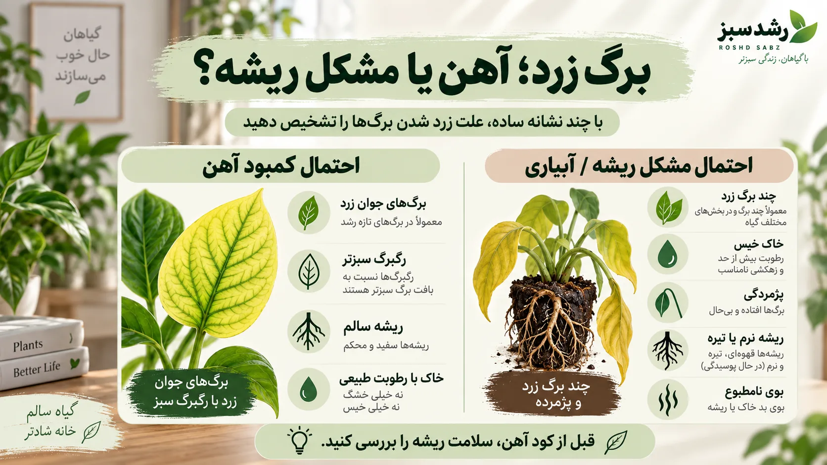 برگ زرد آهن یا مشکل ریشه تشخیص کمبود آهن یا مشکل ریشه در گیاه دارای برگ زرد