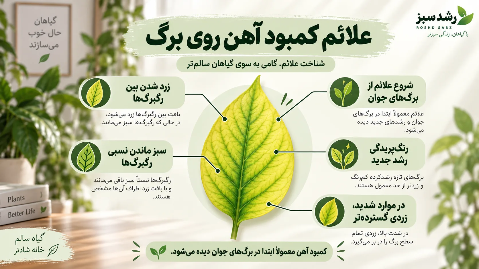علائم کمبود آهن روی برگ علائم کمبود آهن روی برگ جوان و زرد شدن بین رگبرگ ها