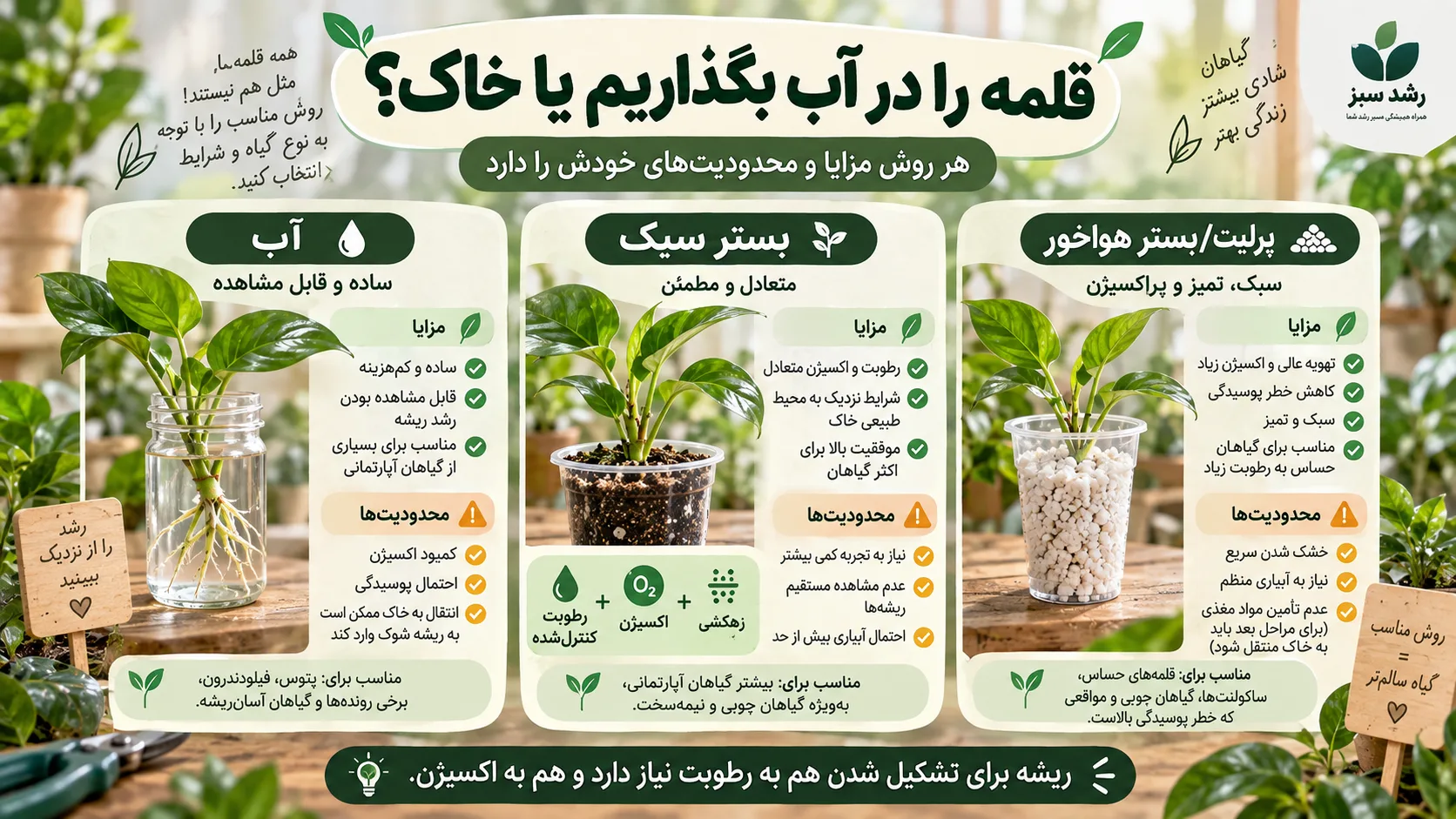 قلمه را در آب بگذاریم یا خاک مقایسه ریشه دار کردن قلمه در آب خاک و پرلیت